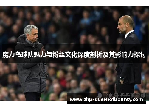魔力鸟球队魅力与粉丝文化深度剖析及其影响力探讨